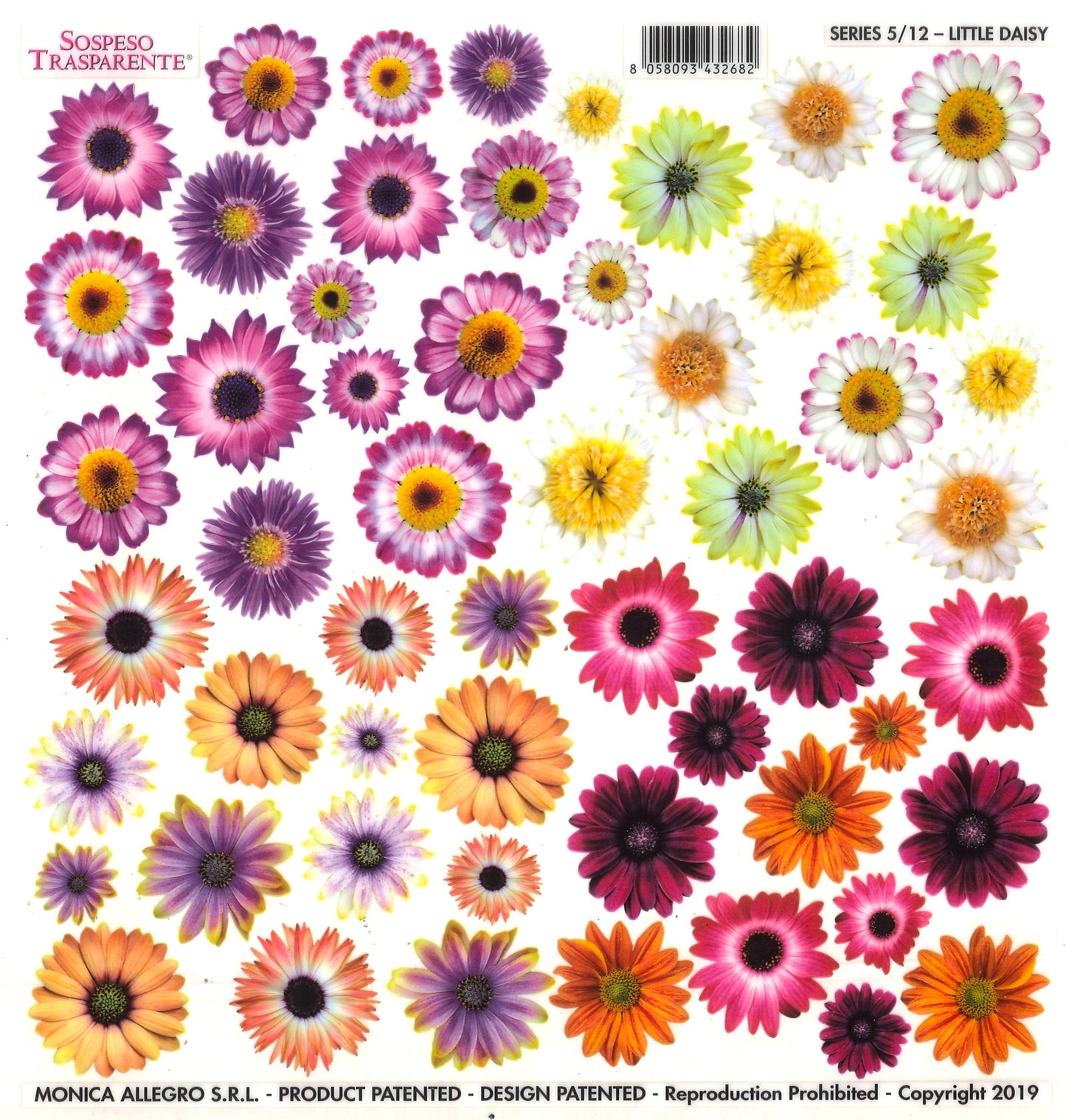 Sospeso Trasparente Pellicola Standard Serie 5 - 12 - Modello Little Daisy