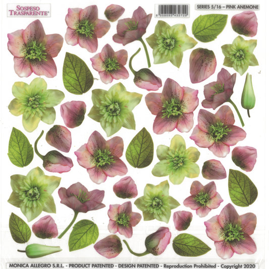 Sospeso Trasparente Pellicola Standard Serie 5 - 16 - Modello Pink Anemone