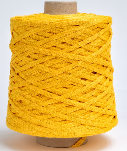 Silke Fettuccione Semplice Colore 0091 Grammi 500