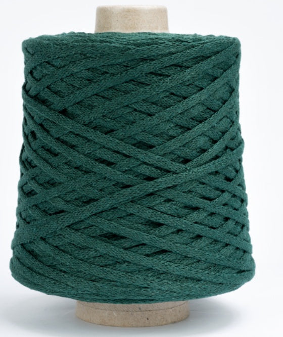 Silke Fettuccione Semplice Colore 0101 Grammi 500