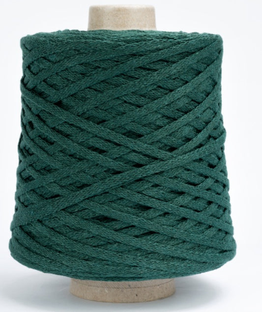 Silke Fettuccione Semplice Colore 0101 Grammi 500