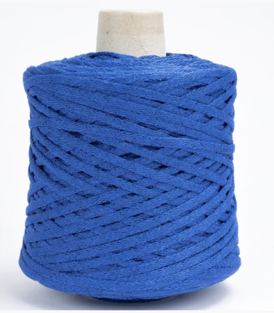 Silke Fettuccione Semplice Colore 0162 Grammi 500