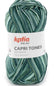 Katia Filato Capri Tones Cotone mercerizzato degradè - 100% Cotone Mercerizzato - Colore 304 Celeste Chiaro Verde