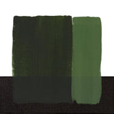Maimeri Colore Olio 358 Verde vescica 20 ml