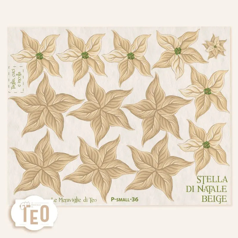Pannello Teo Collezione Natale P-Small-36 Stella di Natale Beige