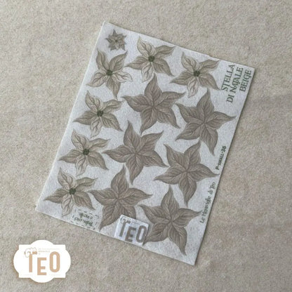 Pannello Teo Collezione Natale P-Small-36 Stella di Natale Beige