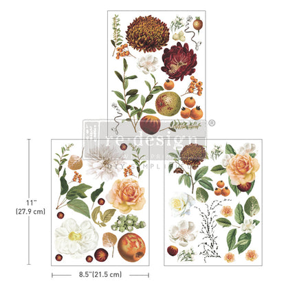 Re Design Decor Transfer Seasonal Splendor 3 Fogli 21,5 X 28 cm