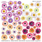 Sospeso Trasparente Pellicola Standard Serie 5 - 12 - Modello Little Daisy