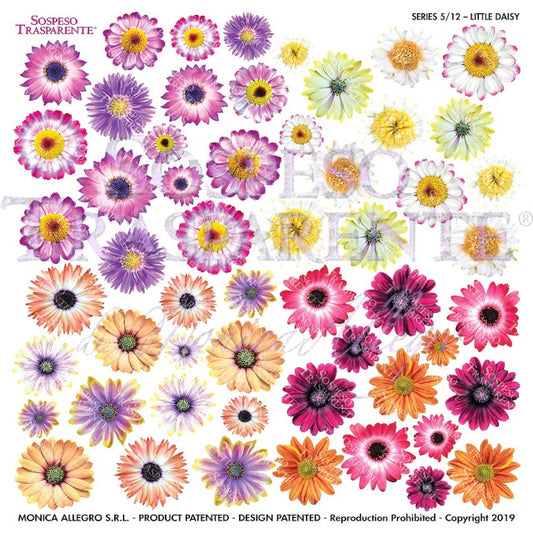 Sospeso Trasparente Pellicola Standard Serie 5 - 12 - Modello Little Daisy