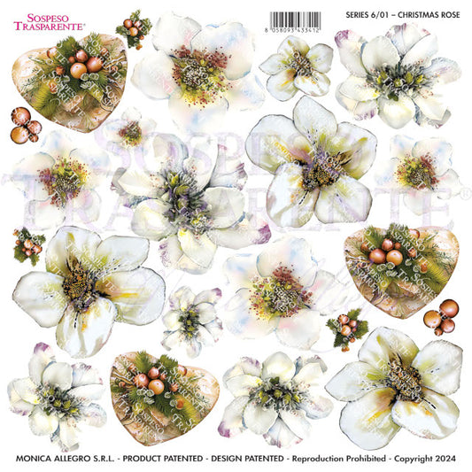 Sospeso Trasparente Pellicola Standard Serie 6 - Modello STS.01 Christmas Rose
