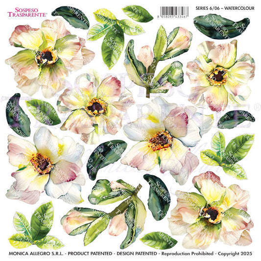 Sospeso Trasparente Pellicola Standard Serie 6 - Modello STS.06 WaterColour