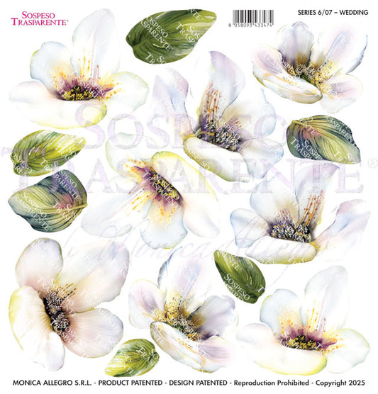 Sospeso Trasparente Pellicola Standard Serie 6 - Modello STS.07 Wedding