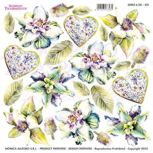 Sospeso Trasparente Pellicola Standard Serie 6 - Modello STS.08 Joy