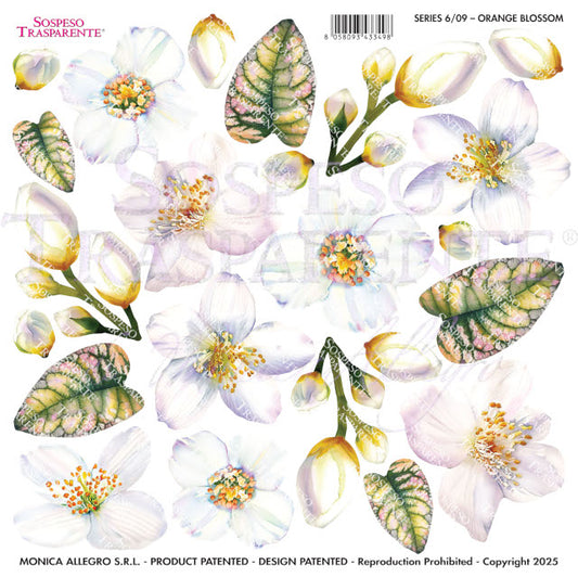 Sospeso Trasparente Pellicola Standard Serie 6 - Modello STS.09 Orange Blossom