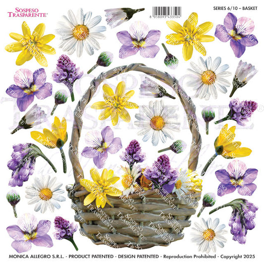 Sospeso Trasparente Pellicola Standard Serie 6 - Modello STS.10 Basket