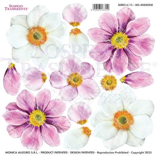 Sospeso Trasparente Pellicola Standard Serie 6 - Modello STS.15 Big Anemone