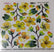 Sospeso Trasparente Pellicola Standard Serie 6 - Modello STS.16 Yellow Cherry