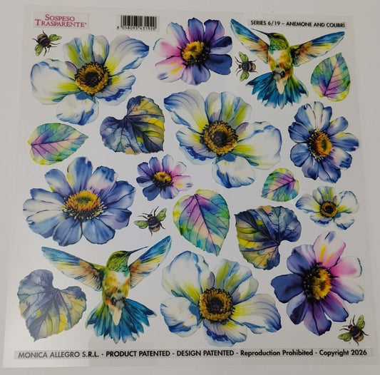 Sospeso Trasparente Pellicola Standard Serie 6 - Modello STS.19 Anemone Colibri