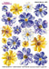 Sospeso Trasparente Pellicola 02 Double Jewel Tippy