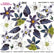 Sospeso Trasparente Pellicola Mini Flower Black n 10