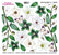 Sospeso Trasparente Pellicola Mini Flower Green n 12